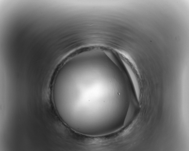 X0000088740879200706071658