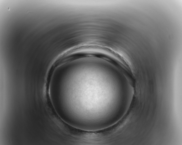 X0000088740880200706071658