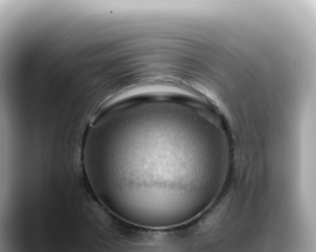 X0000088740881200706071658
