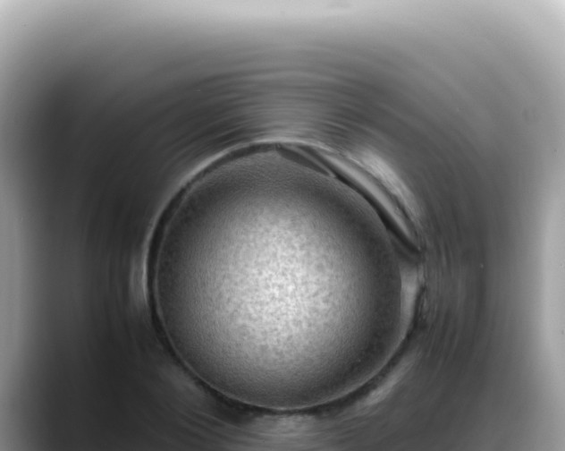 X0000088740884200706071658