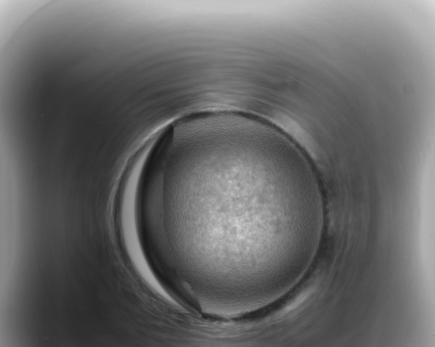 X0000088740885200706071657