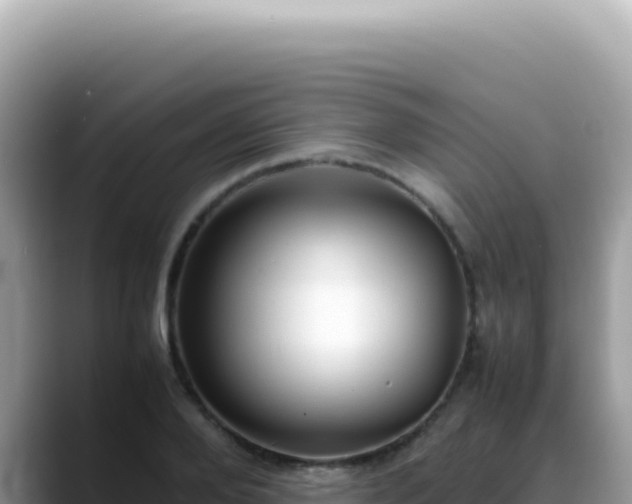 X0000088740888200706071657