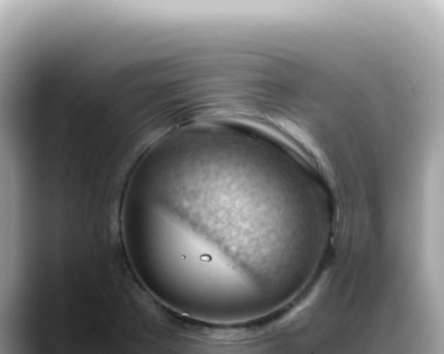X0000088740889200706071657