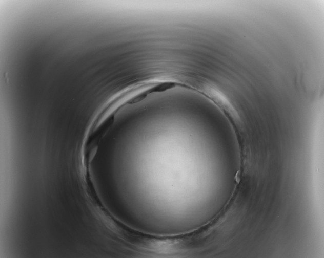 X0000088740892200706071657