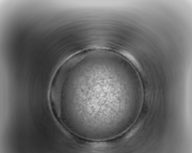 X0000088740893200706071657
