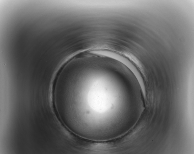 X0000088740894200706071657