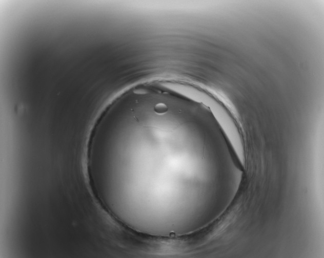 X0000088740895200706071657