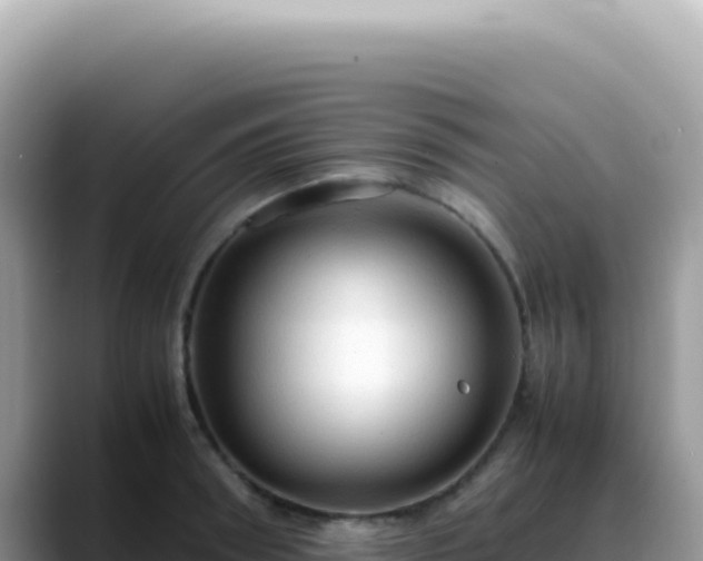 X0000088740898200706071657