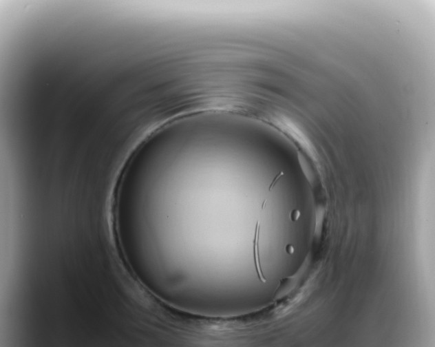 X0000088740899200706071657