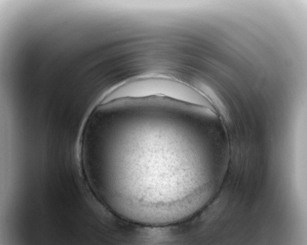X0000088740900200706071657