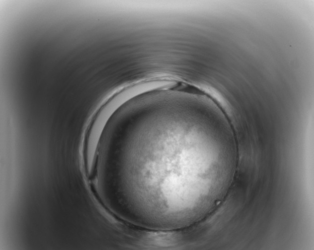 X0000088740902200706071657