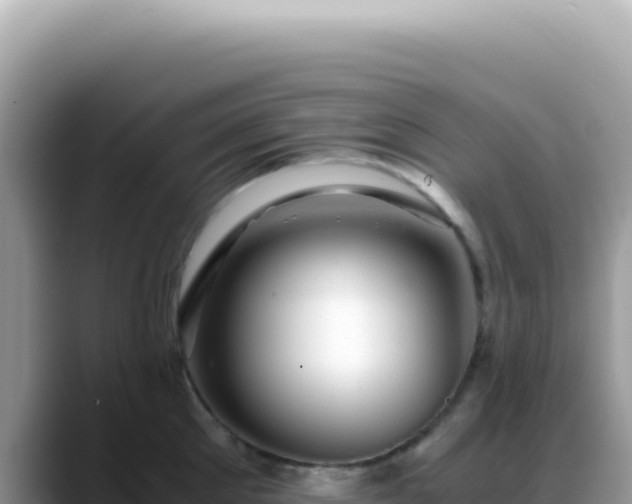 X0000088740905200706071657