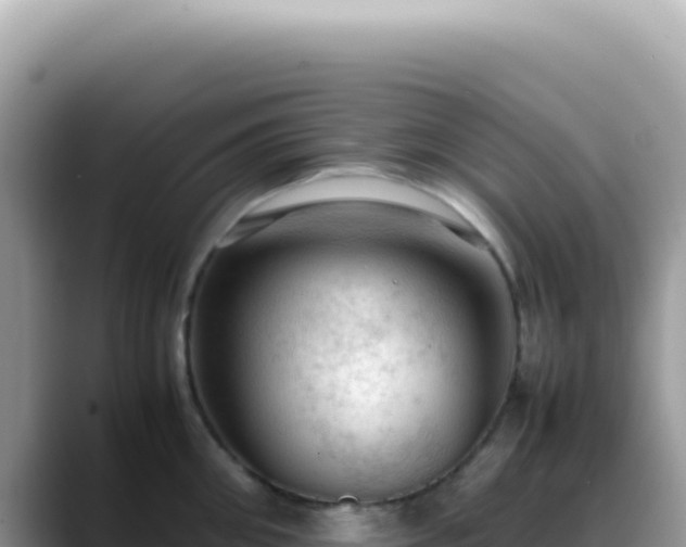 X0000088740906200706071657