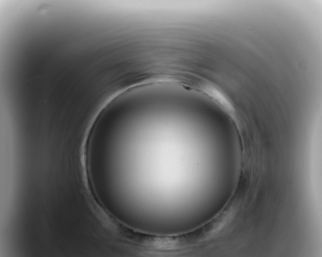 X0000088740907200706071657