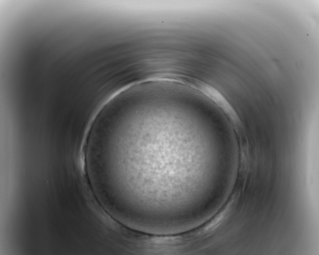 X0000088740908200706071657