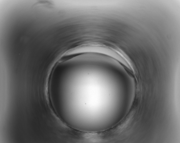 X0000088740909200706071657