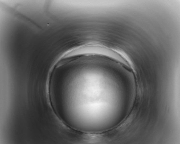 X0000088740910200706071657