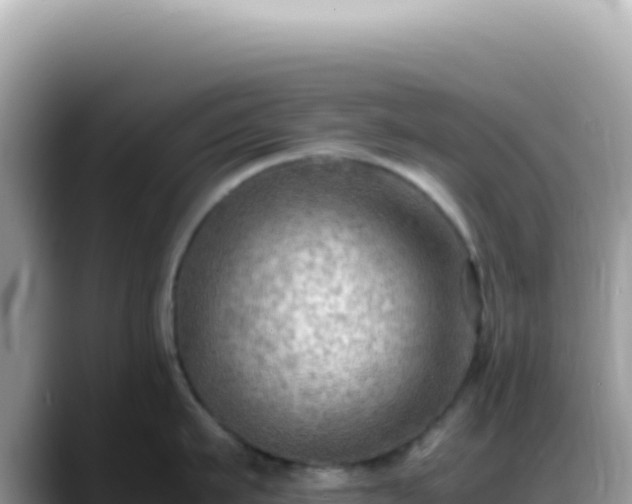 X0000088740911200706071657