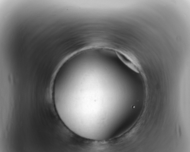 X0000088740912200706071657
