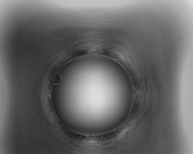 X0000088740913200706071657
