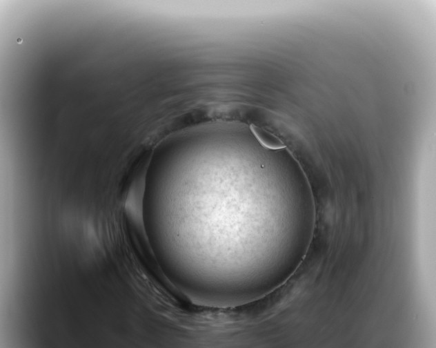 X0000088740914200706071657