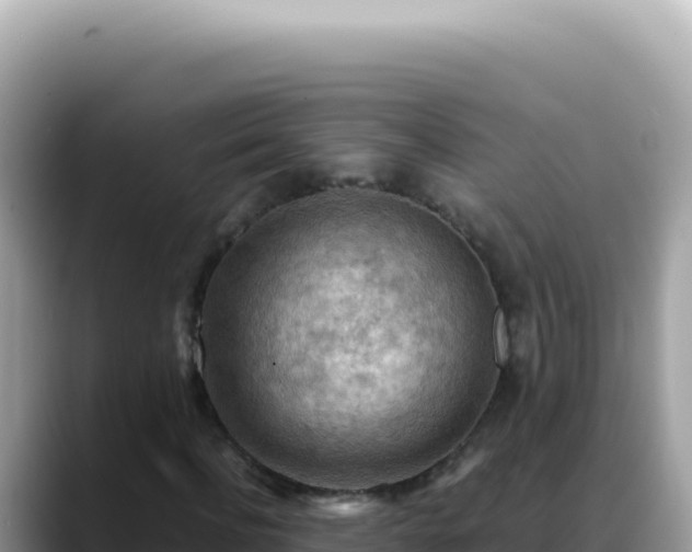 X0000088740916200706071657