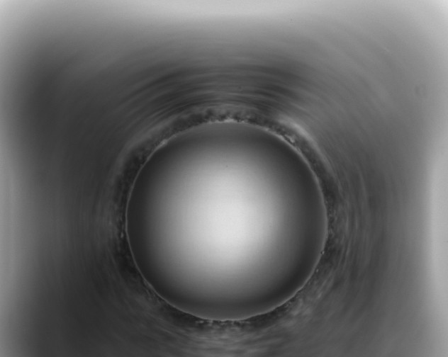 X0000088740919200706071657