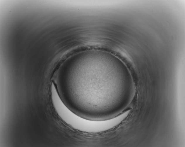 X0000088740920200706071657