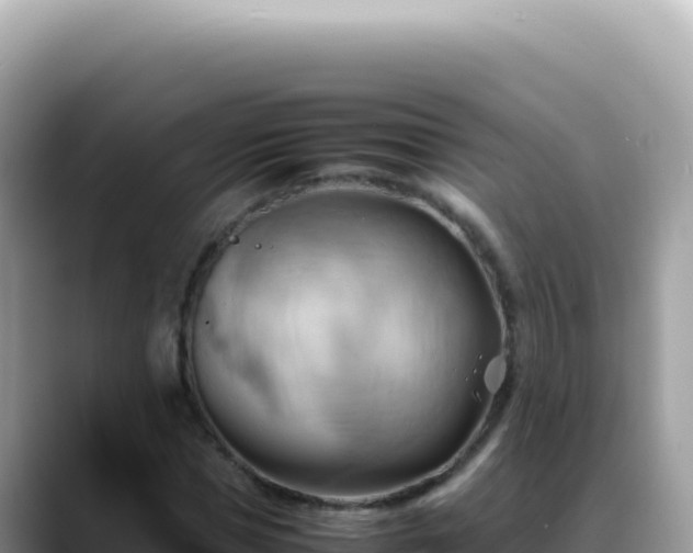 X0000088740921200706071657