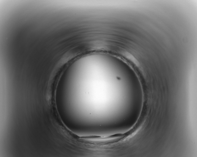 X0000088740922200706071657