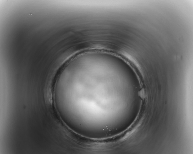X0000088740925200706071657