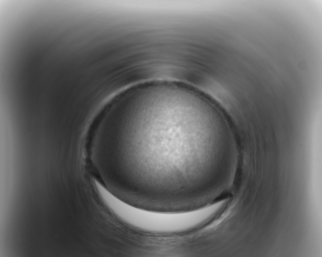 X0000088740926200706071657