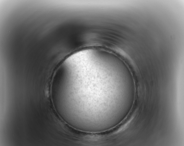 X0000088740929200706071657