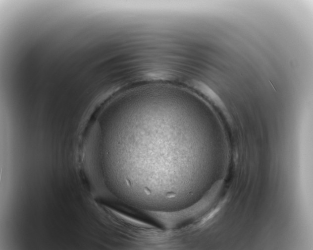 X0000088740930200706071657