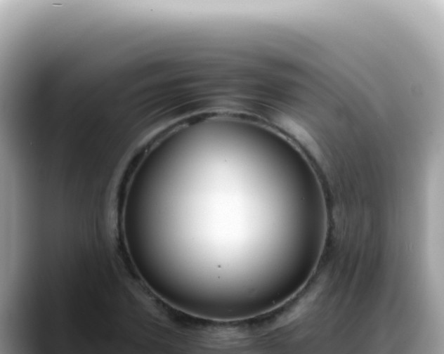 X0000088740931200706071657