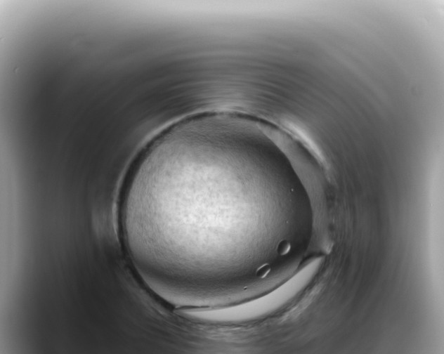 X0000088740932200706071657