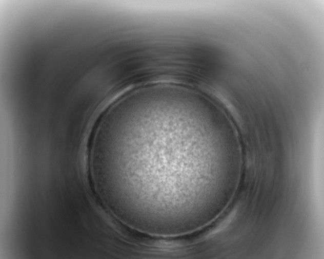 X0000088740933200706071657