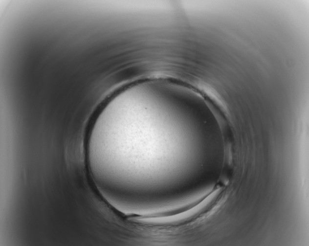 X0000088740934200706071657