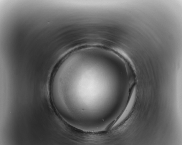 X0000088740935200706071657