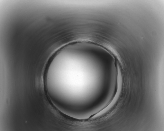 X0000088740936200706071657