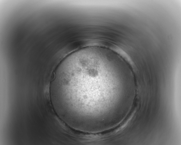 X0000088740937200706071657