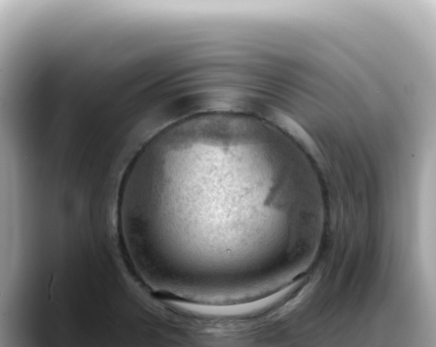 X0000088740938200706071657