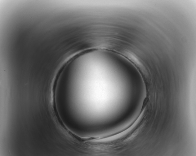 X0000088740940200706071657