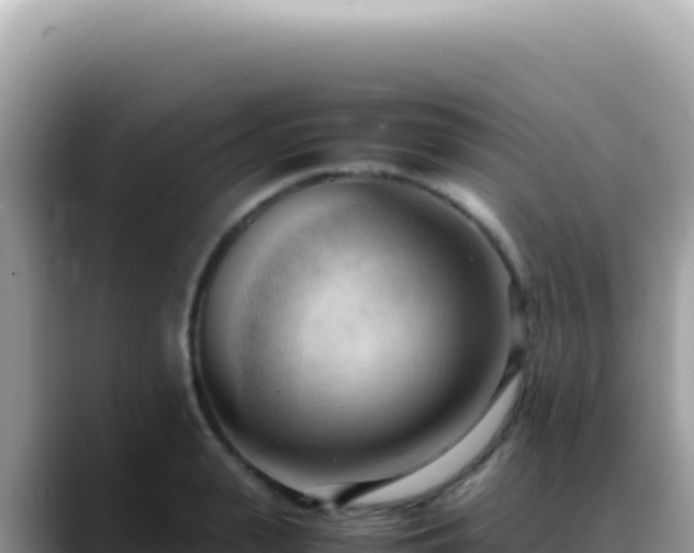 X0000088740943200706071657
