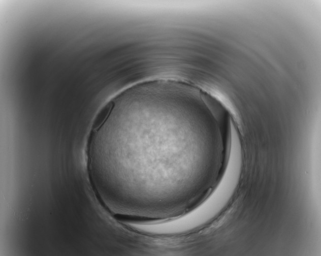 X0000088740944200706071657