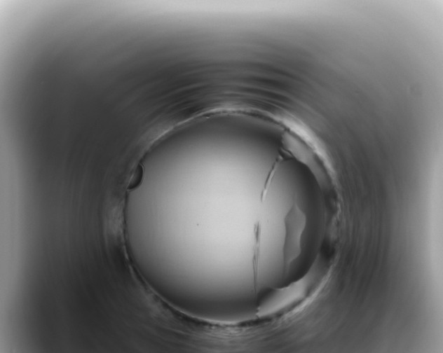X0000088740945200706071657