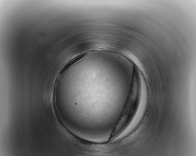 X0000088740946200706071657