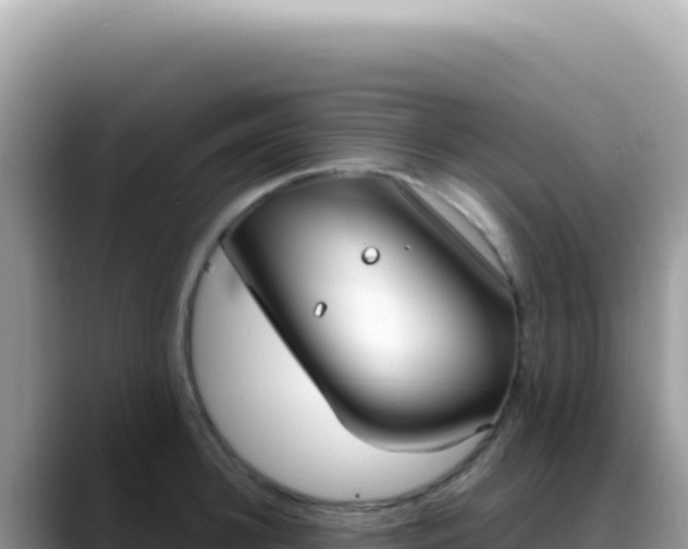 X0000088740948200706071657