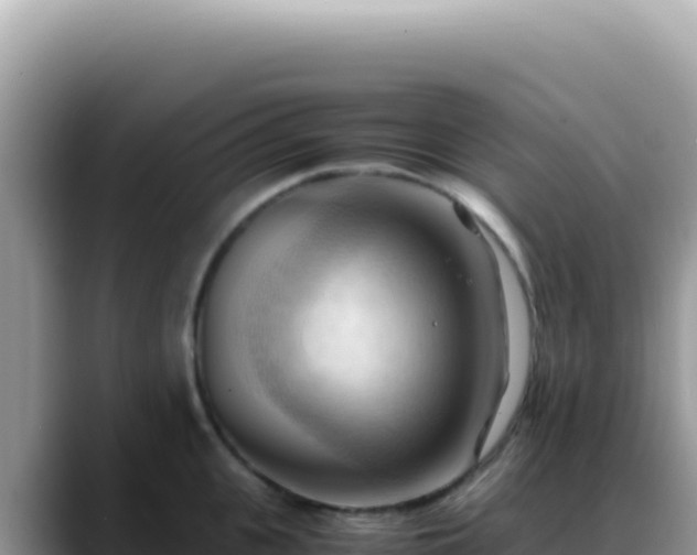 X0000088740951200706071657