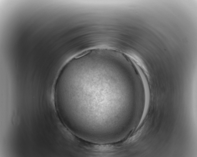 X0000088740952200706071657